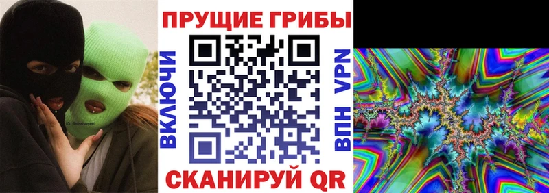 Псилоцибиновые грибы мухоморы  купить наркотики цена  блэк спрут ONION  Нестеровская 